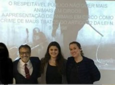 Não é possível utilizar animais em circos sob nenhuma hipótese, afirma estudo de Direito realizado na UFSC